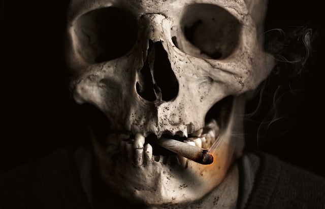 crâne, os, fumeur