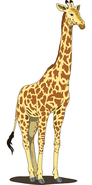 girafe, grand, long cou